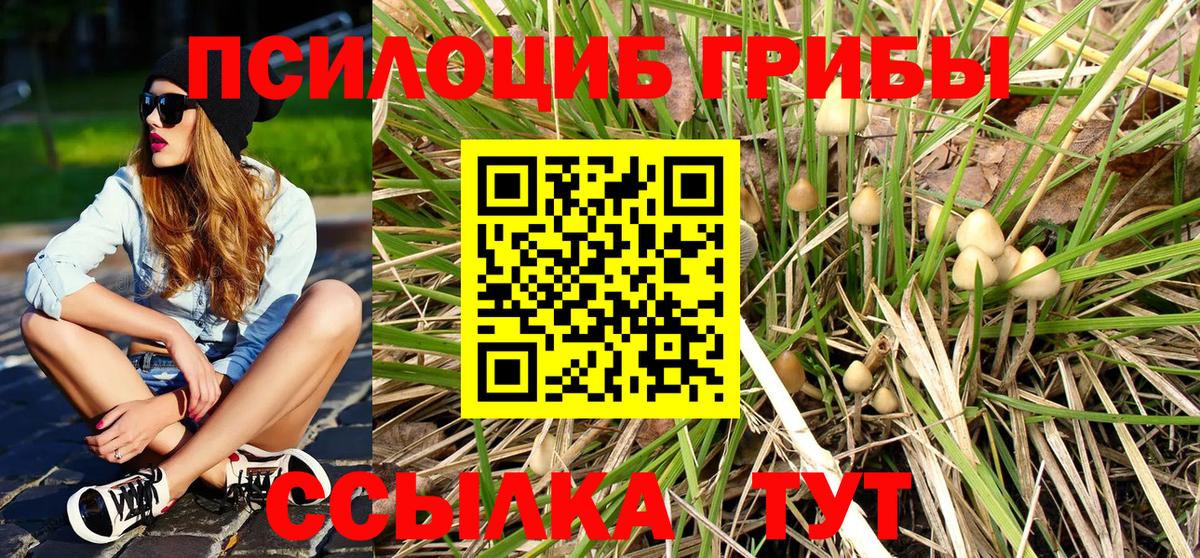 Галлюциногенные грибы прущие грибы Нурлат