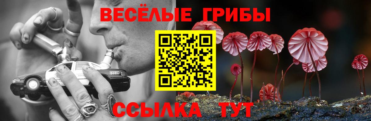 Галлюциногенные грибы Cubensis  Вход с VPN  Нурлат 